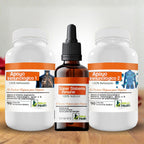 Kit Defensas Plus - Apoyo para defensas, vitalidad y bienestar del sistema inmune